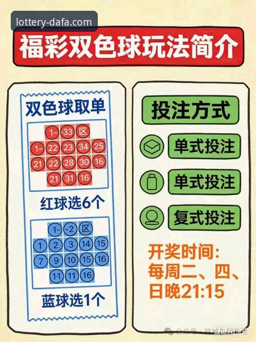 大发彩票平台新手入门与进阶玩法使用指南